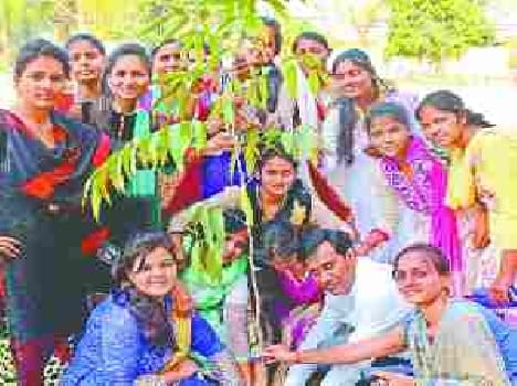 Students plant a tree.